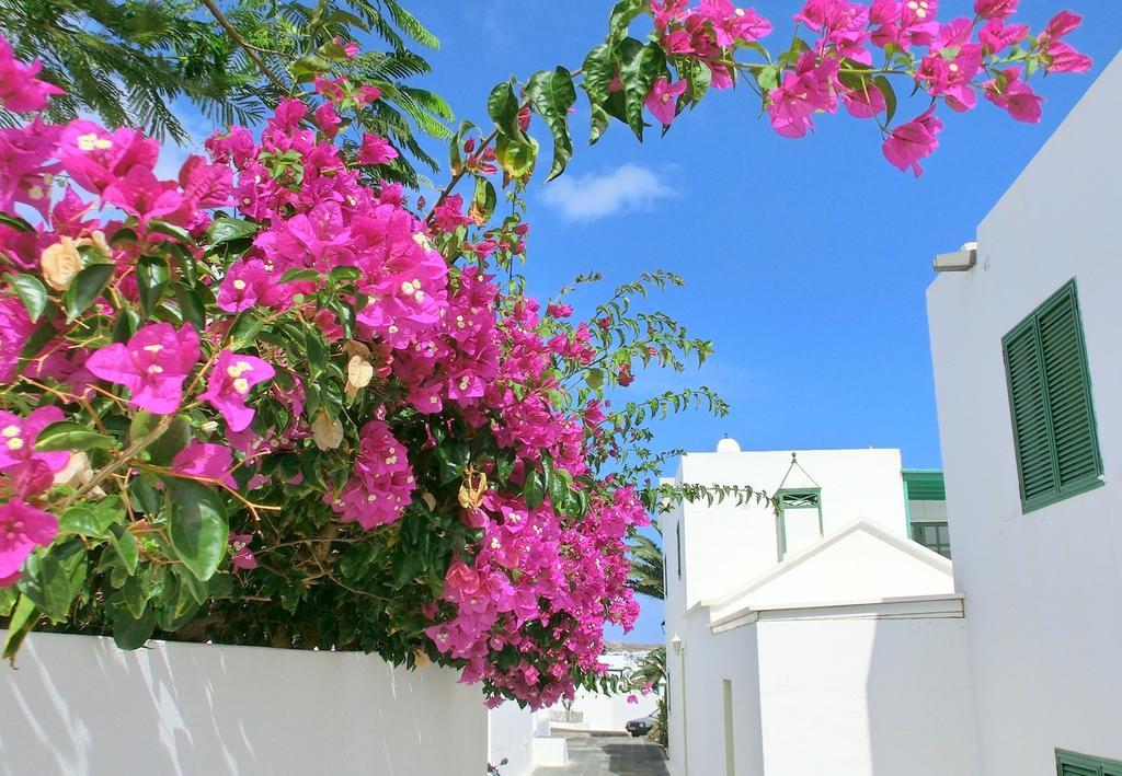 Villas Puerto Rubicon Плайя-Бланка Екстер'єр фото